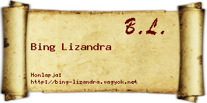 Bing Lizandra névjegykártya